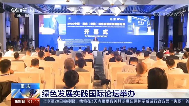 2020中国•重庆（武隆）绿色发展实践国际论坛